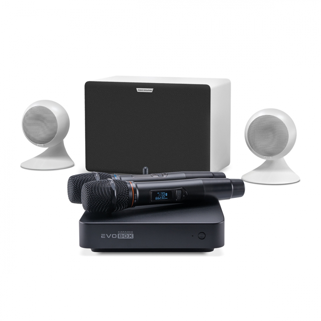 караоке-комплект EVOBOX Classic + EvoSound Sphere 2.1 в Крыму