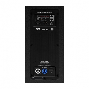 Активная акустическая система AST-310A в Крыму